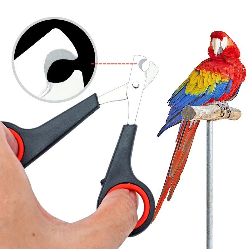 Dog Grooming Clippers - Tijeras para uñas de mascotas de