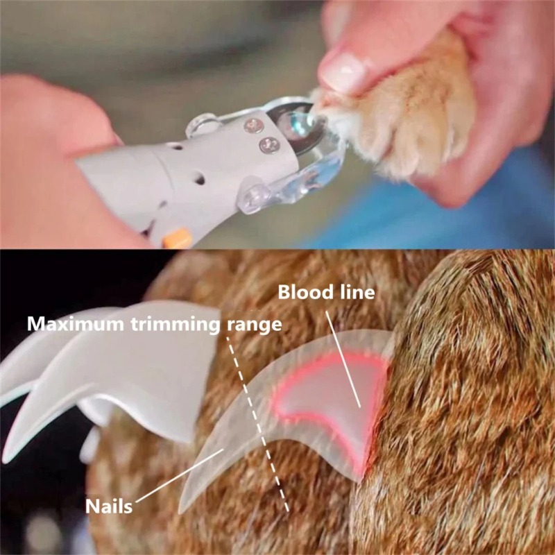 Cortauñas para mascotas con lu - Dog Grooming Clippers reseña y precio