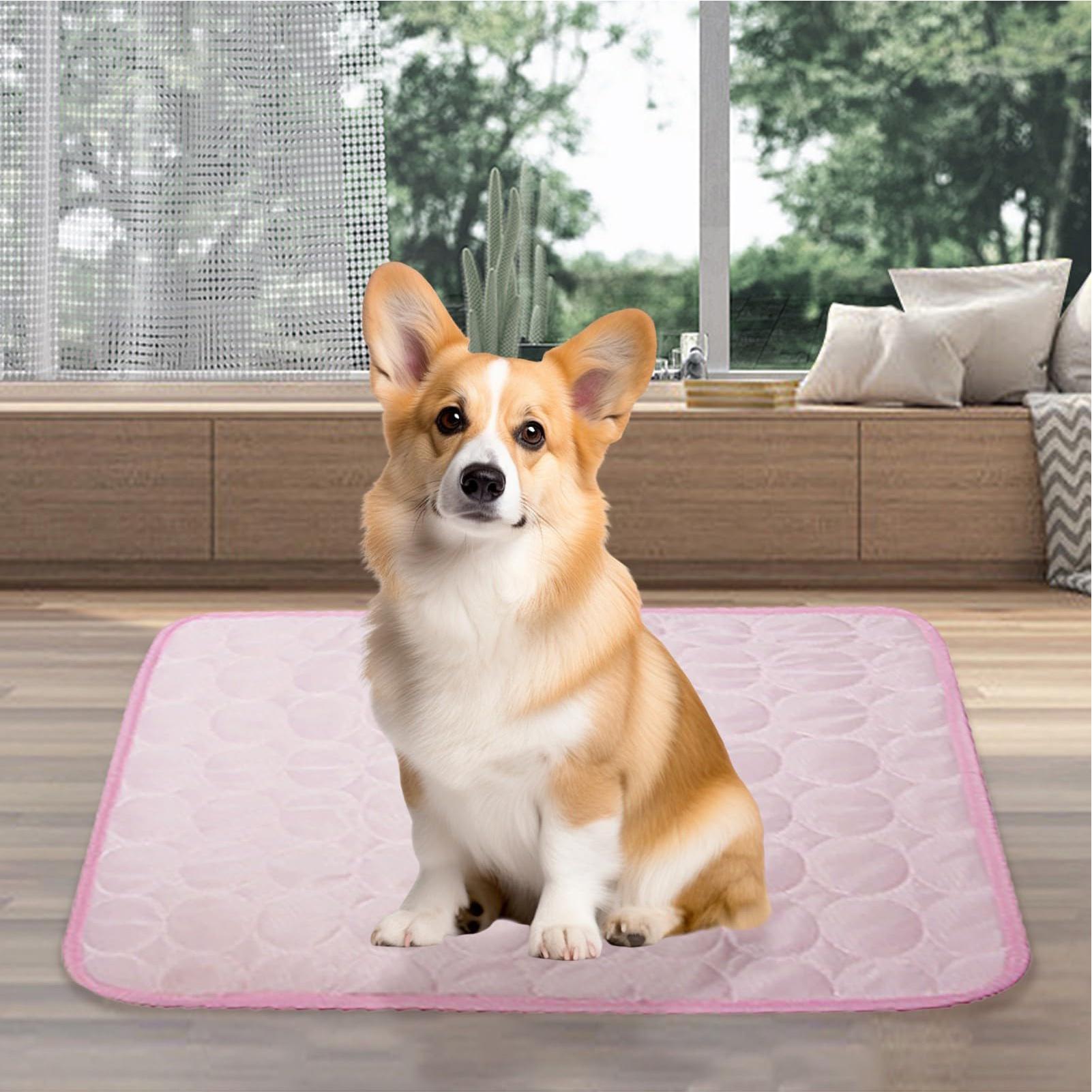 Alfombra refrescante de verano - Pet Supplies Self Wash reseña y precio