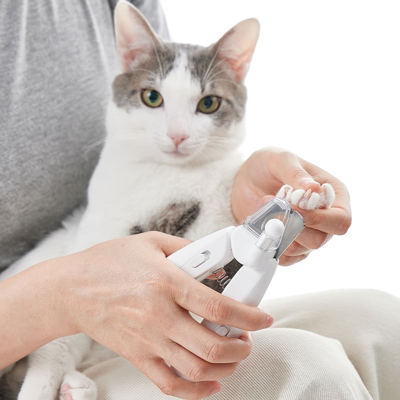 Máquina Cortapelos PETKIT para - Pet Supplies Grooming Hours reseña y precio
