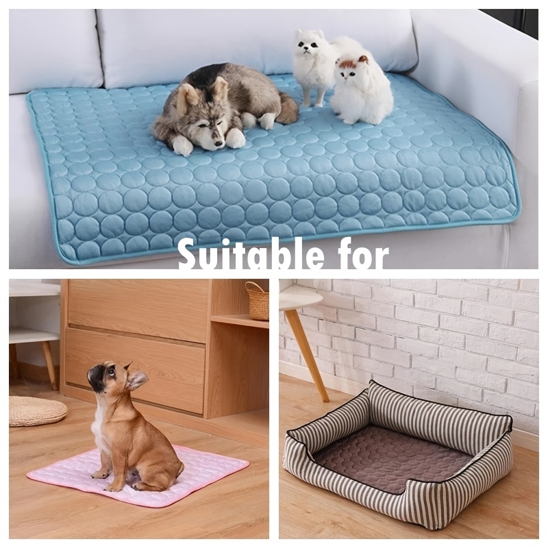 Cama de refrigeración para per - Pet Supplies Self Wash reseña y precio