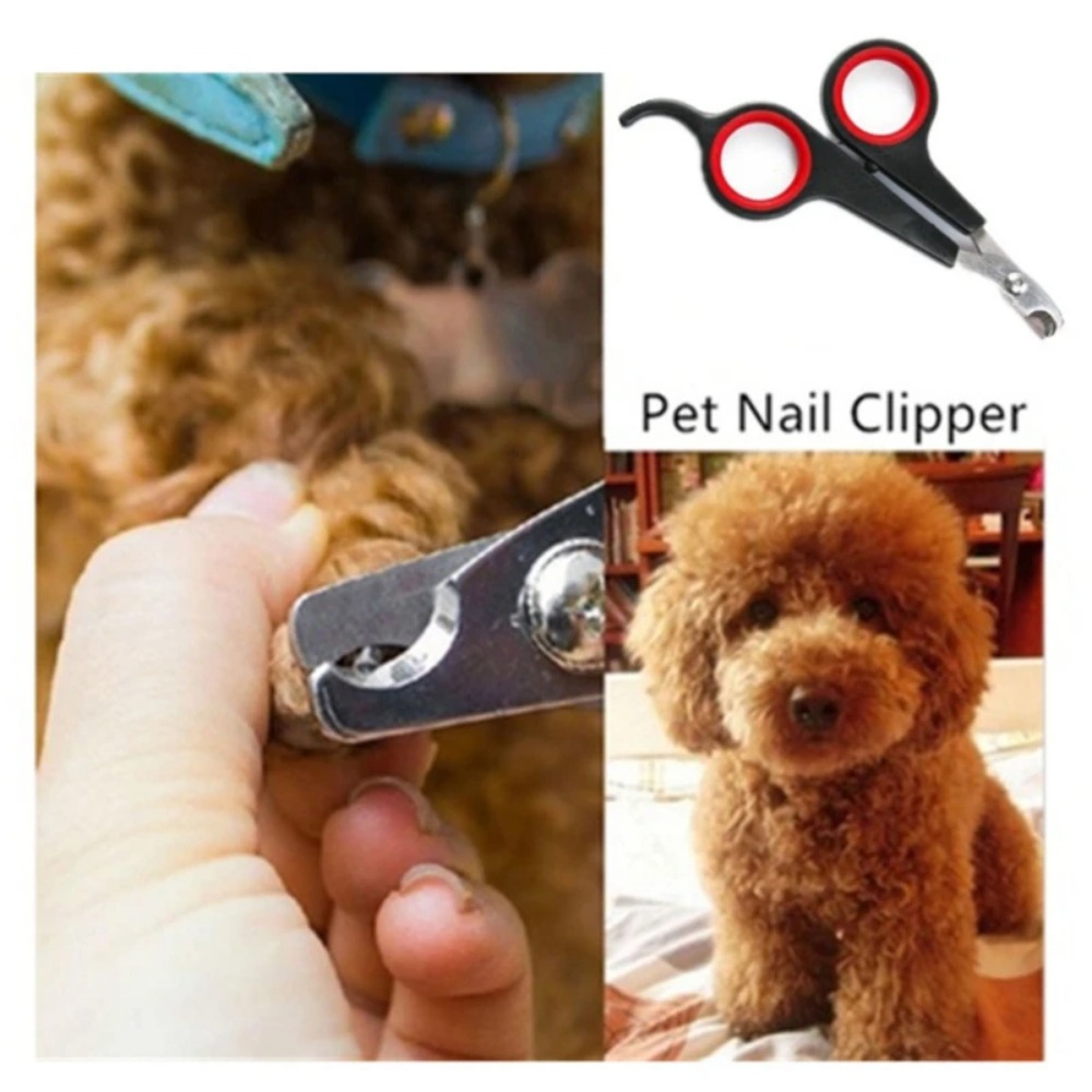 Cortauñas de 12 cm para mascot - Pet Supplies Nail Trim reseña y precio