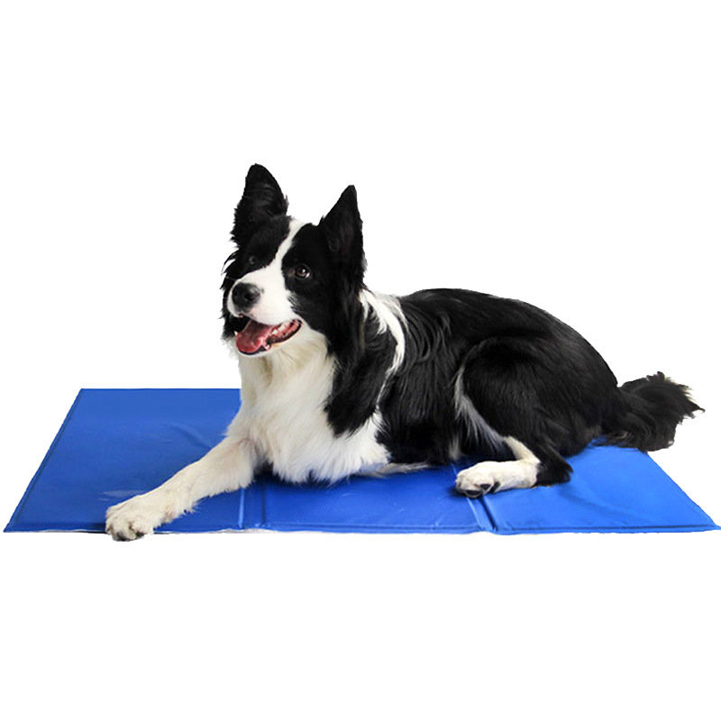 Alfombra Refrigerante para Per - Pet Supplies Self Wash reseña y precio