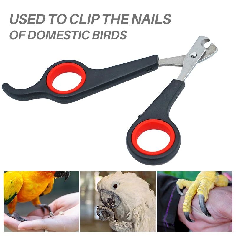 Tijeras para uñas de mascotas  - Dog Grooming Clippers reseña y precio