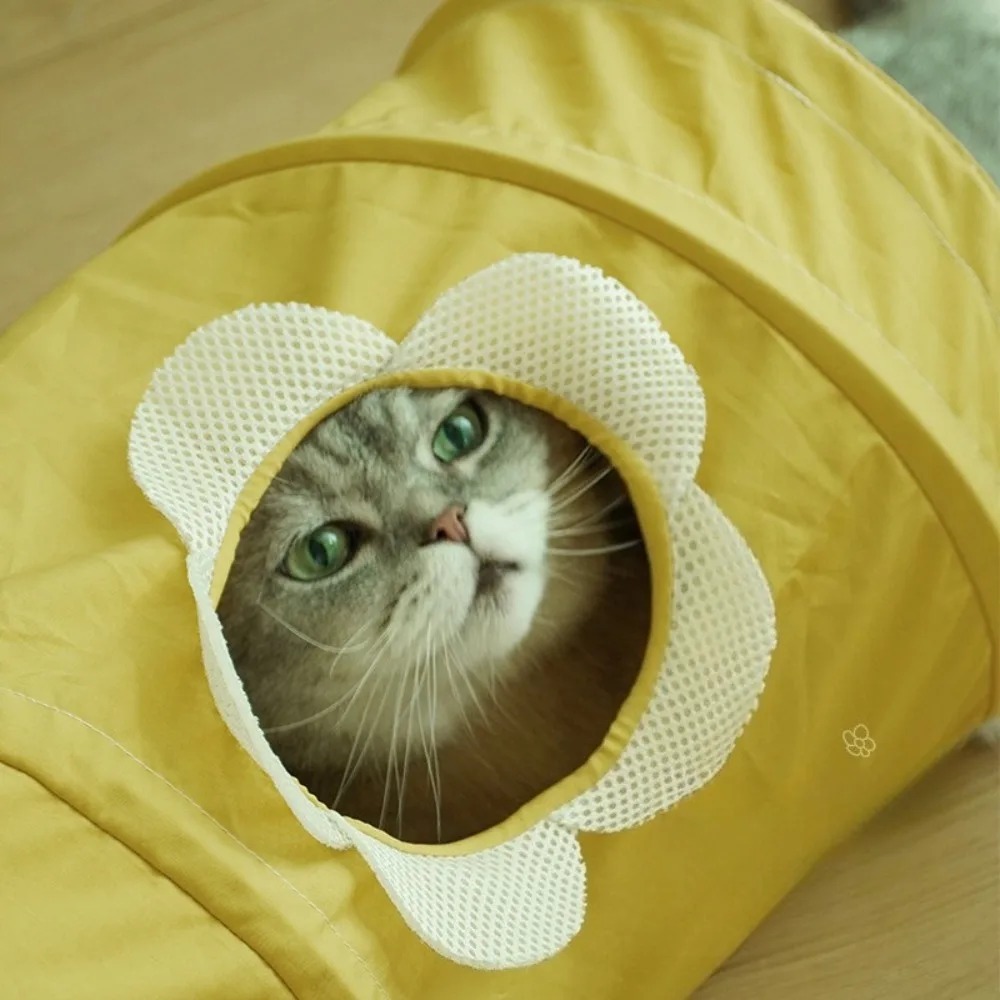 Túnel en Espiral Plegable y Po - Pet Supplies In Store reseña y precio
