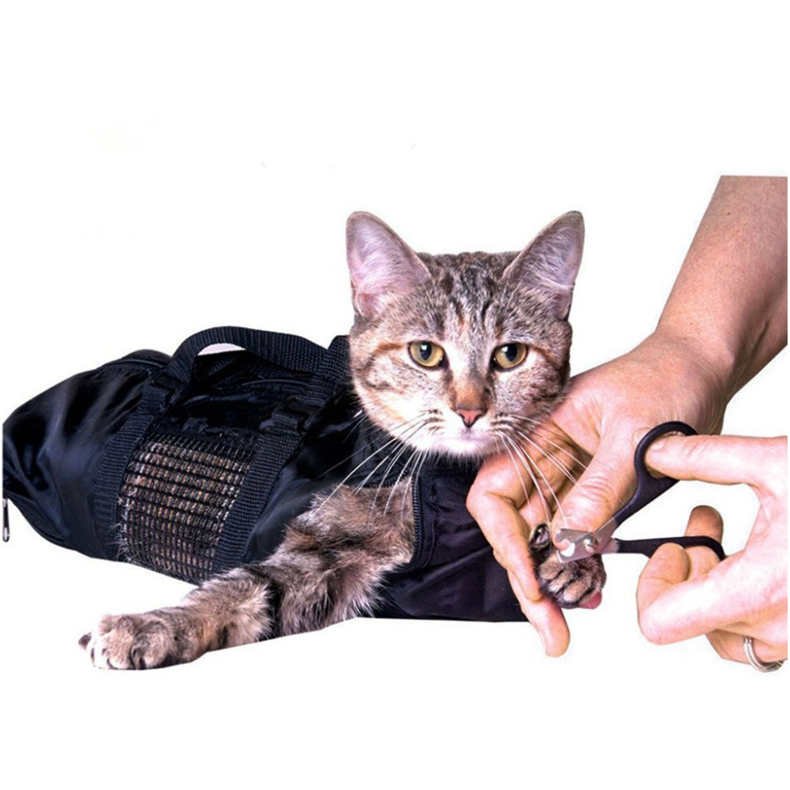 Bolsa de malla para baño y ase - Pet Supplies Nail Trim reseña y precio
