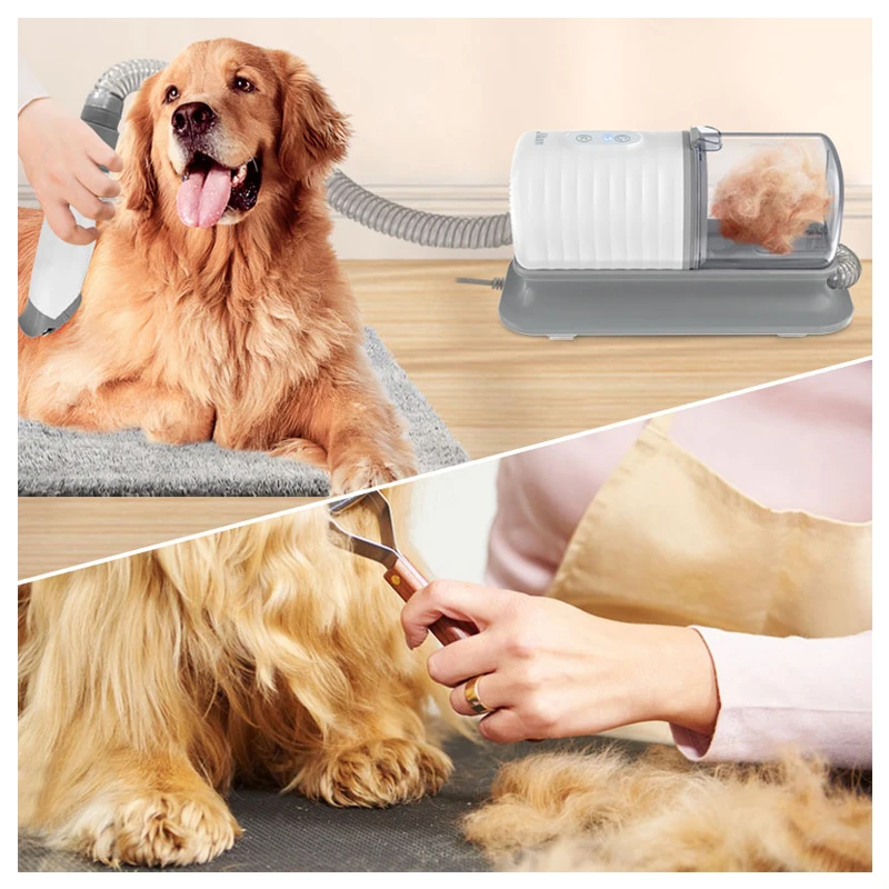 Juego de cepillos para baño de - Pet Supplies In Store reseña y precio