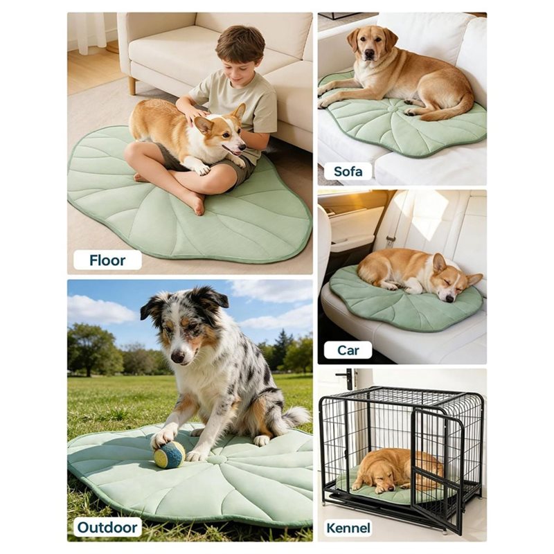 [NEWA08R】 Almohadilla refresca - Pet Supplies Self Wash reseña y precio