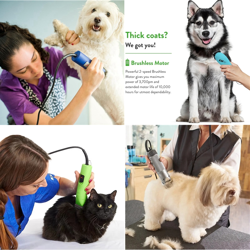 Hoja A5 apta para Andis y Oste - Dog Grooming Clippers reseña y precio