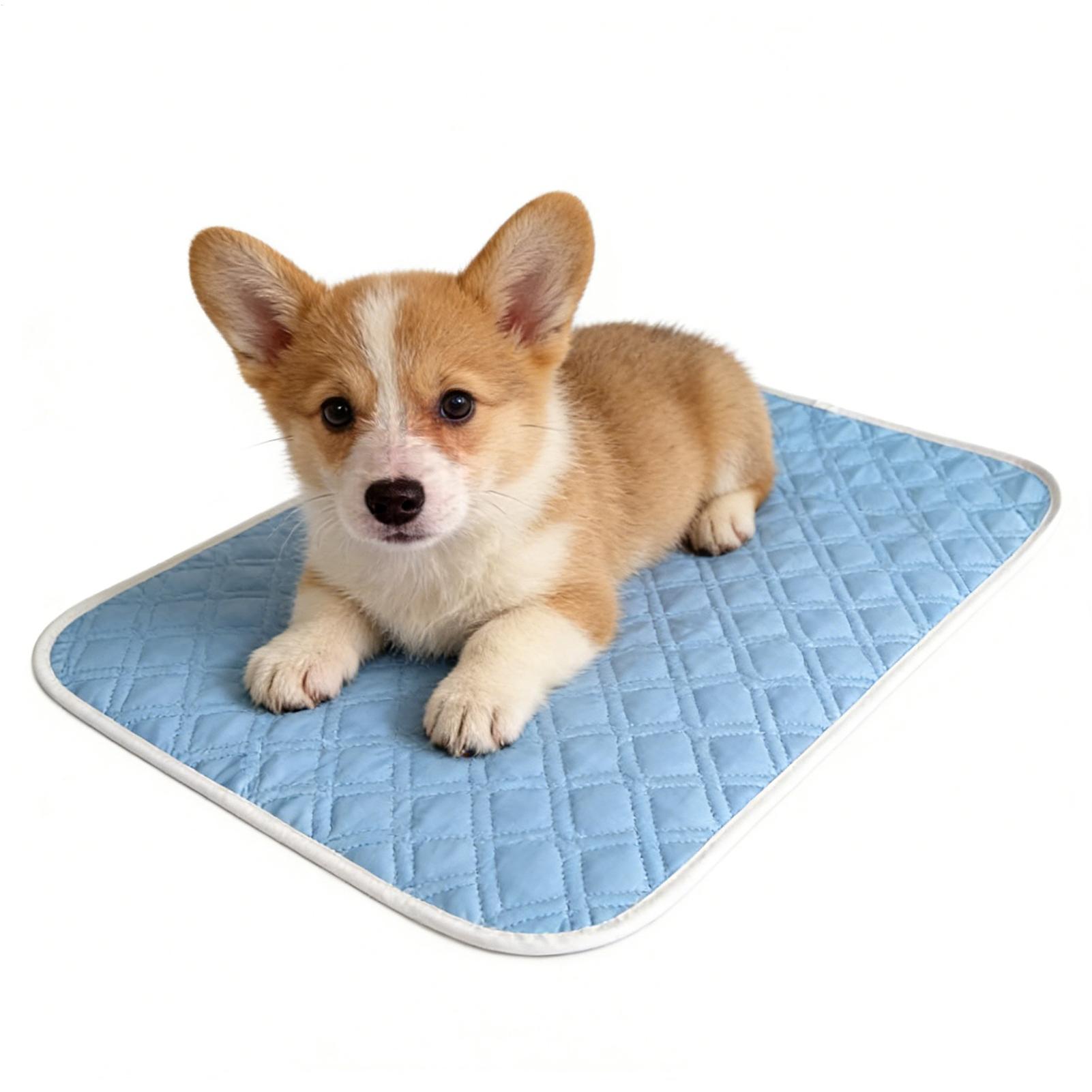 Alfombra refrescante de verano - Pet Supplies Self Wash reseña y precio