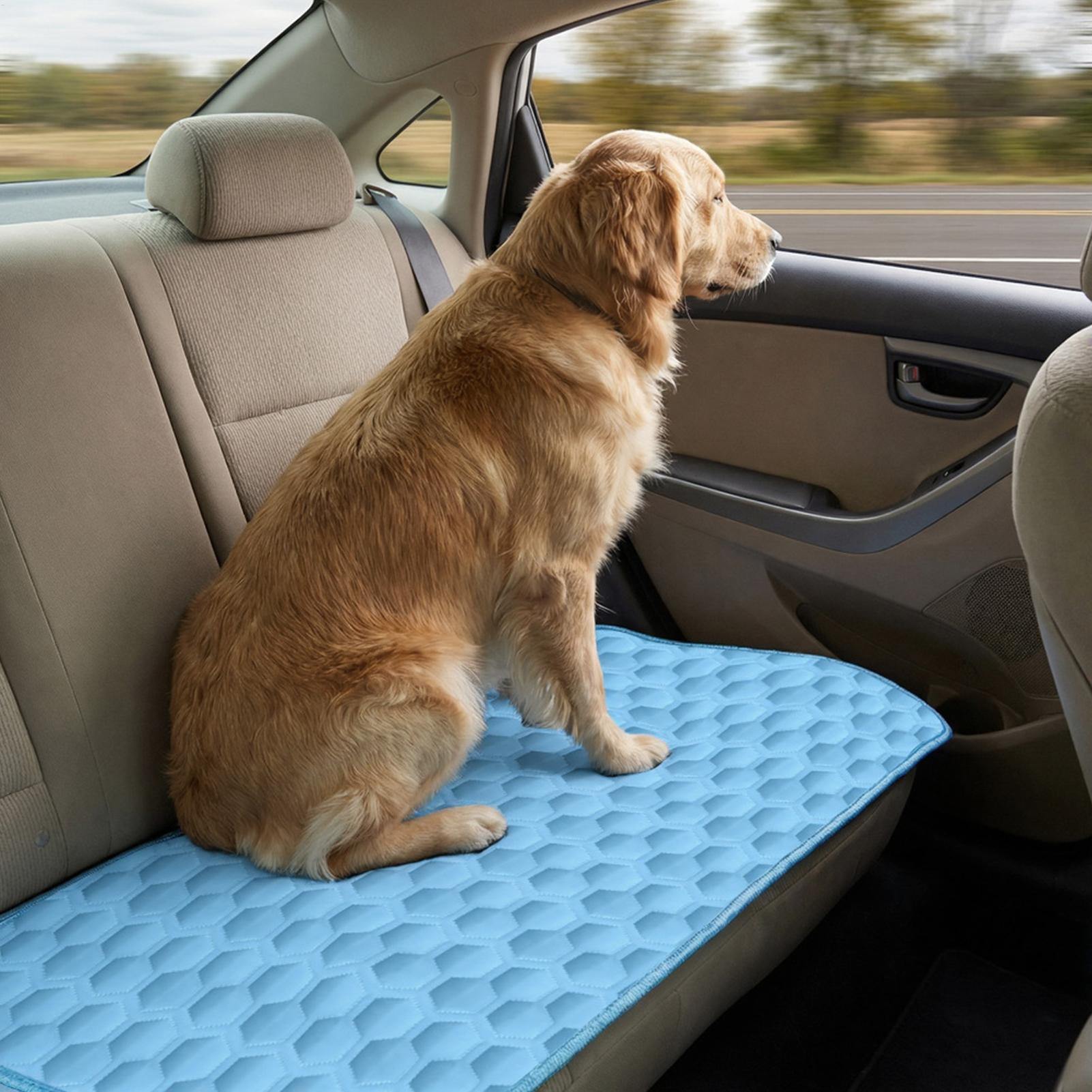 Alfombra refrescante de verano - Pet Supplies Self Wash reseña y precio