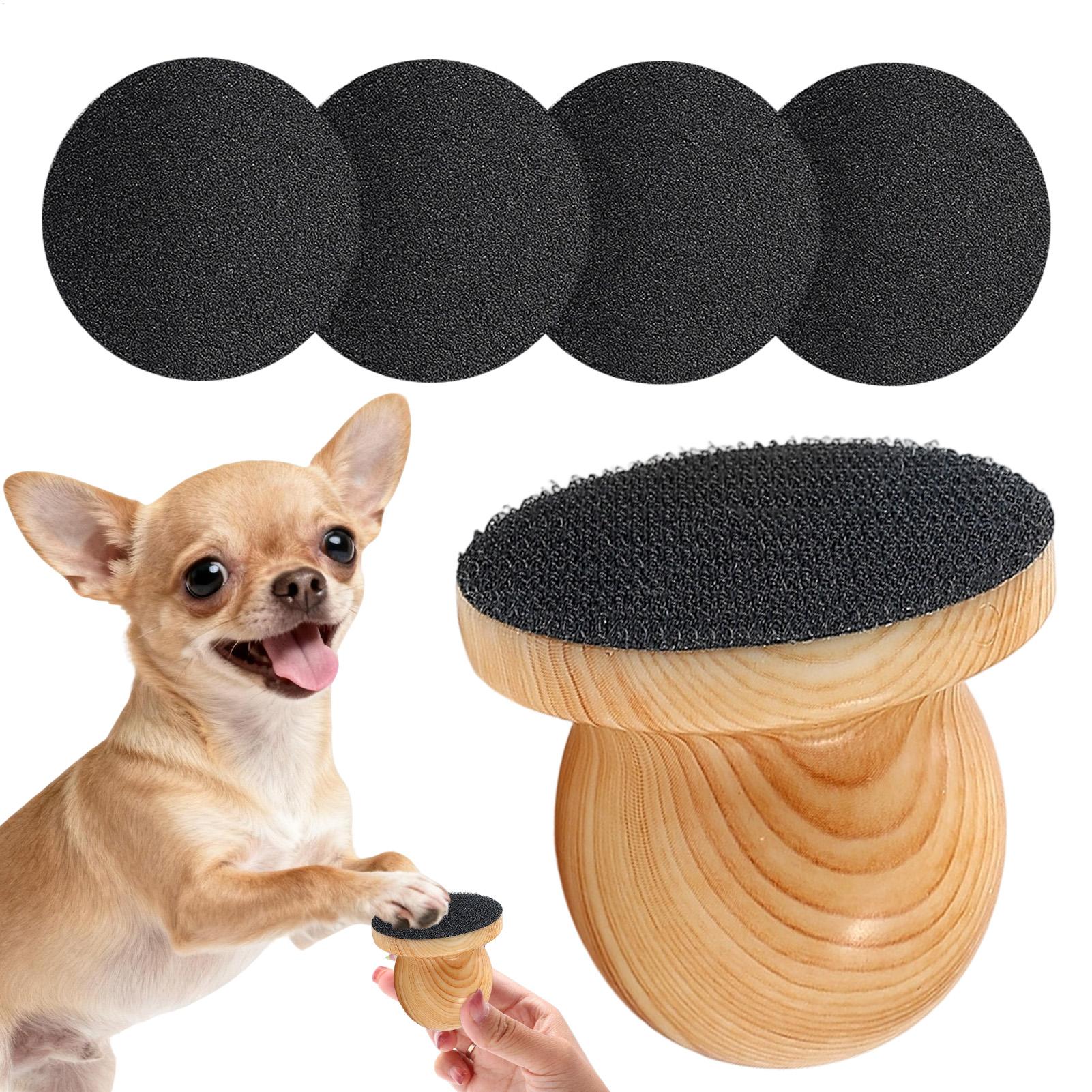 Lima de uñas portátil para per - Pet Supplies Nail Trim reseña y precio