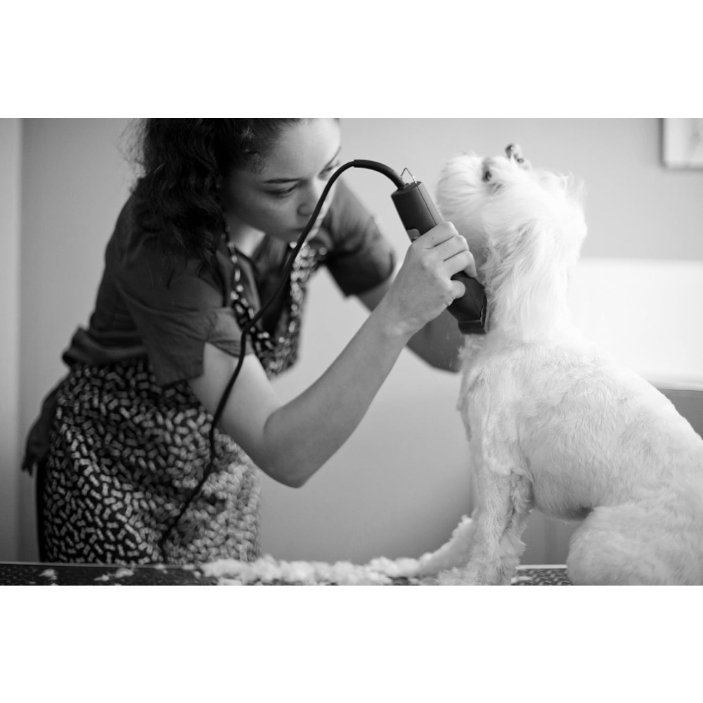 Muebles para Exteriores UltraE - Dog Grooming Clippers reseña y precio