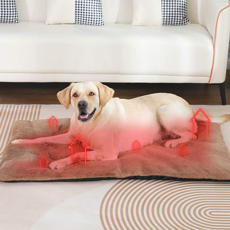 Almohadilla térmica autocalent - Pet Supplies Self Wash reseña y precio