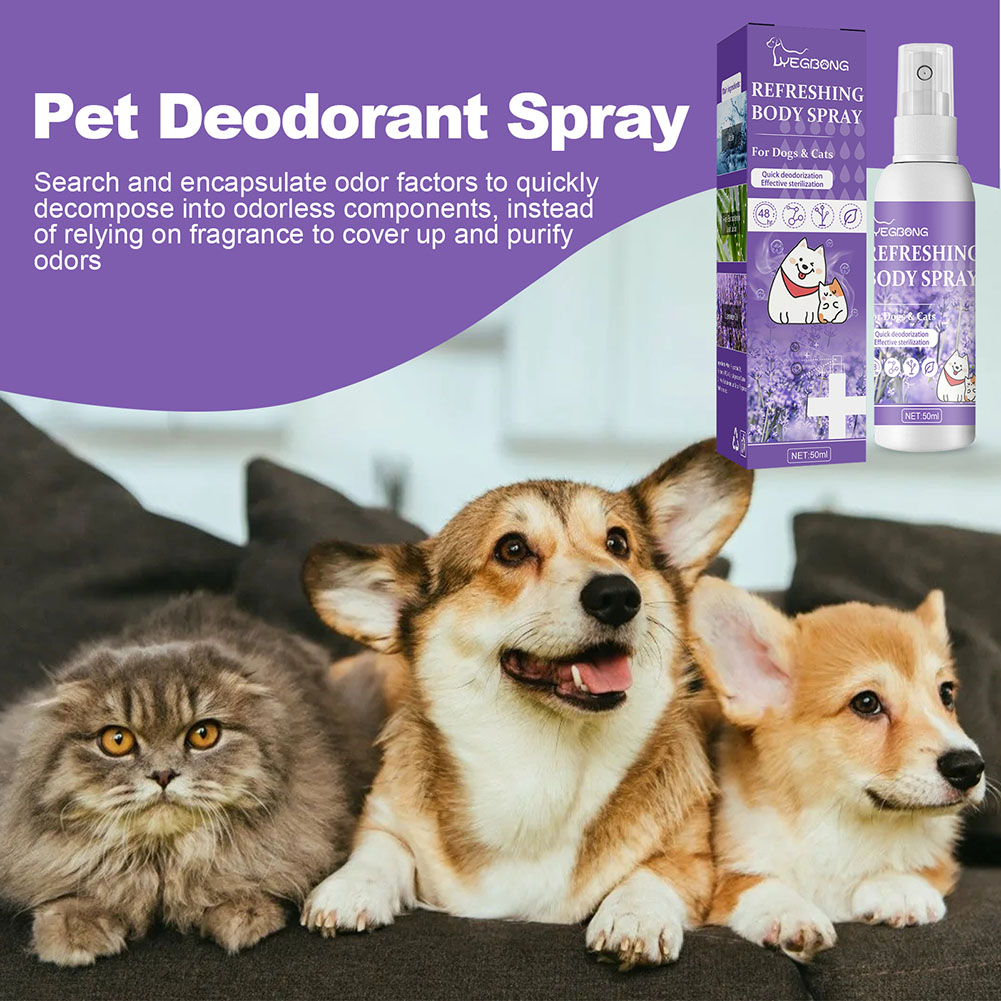 Spray Desodorante para Perros, - Pet Supplies In Store reseña y precio